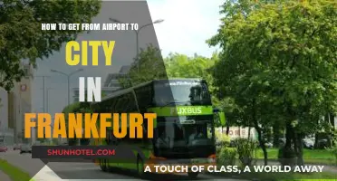 Efficient Travel Tips: Navigating from Frankfurt Airport to City Center