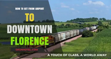 Easiest Ways to Travel from Florence Airport to Downtown Florence