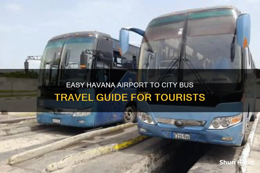 how to get from airport to havana bus