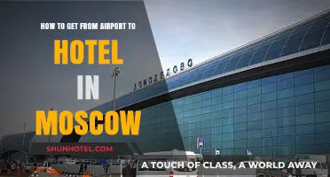Moscow Airport to Hotel: Easy Transport Options and Tips