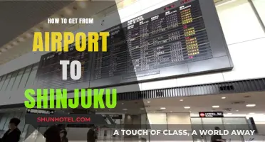 Easiest Ways to Travel from Tokyo Airport to Shinjuku Station