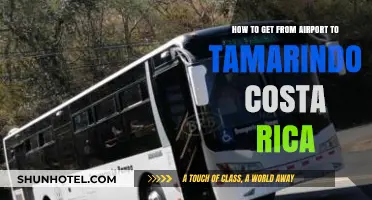 Easy Transport Options: Airport to Tamarindo, Costa Rica Guide