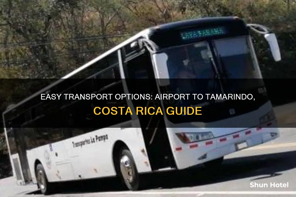 how to get from airport to tamarindo costa rica