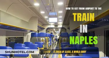 Navigating Naples: Seamless Airport to Train Station Transfer Guide