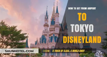 Easiest Ways to Travel from Tokyo Airport to Disneyland