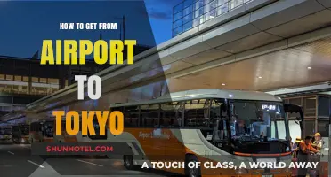 Efficient Airport to Tokyo Travel: Best Transport Options & Tips