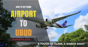Easy Travel Guide: Airport to Ubud Transport Options & Tips
