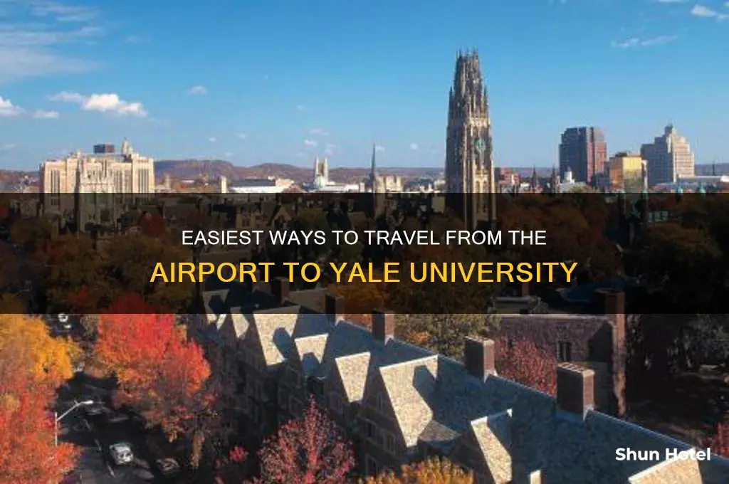 how to get from airport to yale