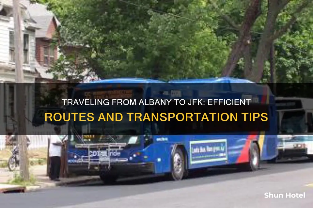 how to get from albany to jfk airport