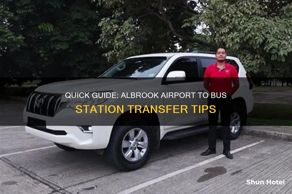 how to get from albrook airport to albrook bus station