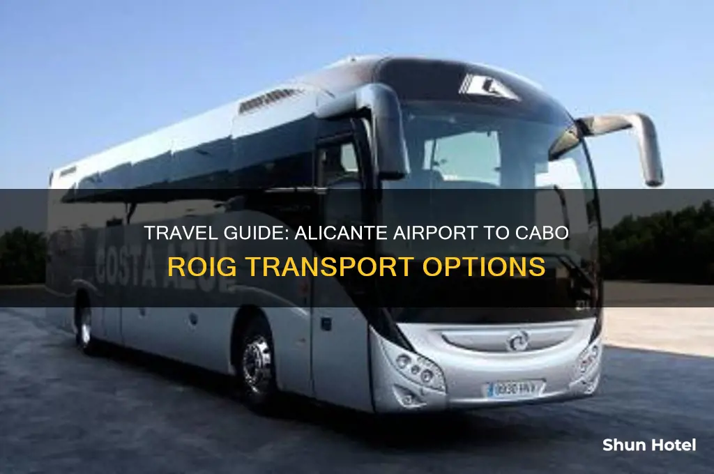 how to get from alicante airport to cabo r