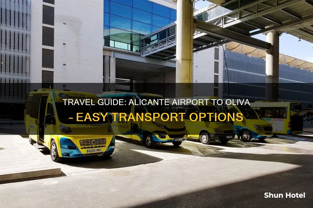 how to get from alicante airport to oliva
