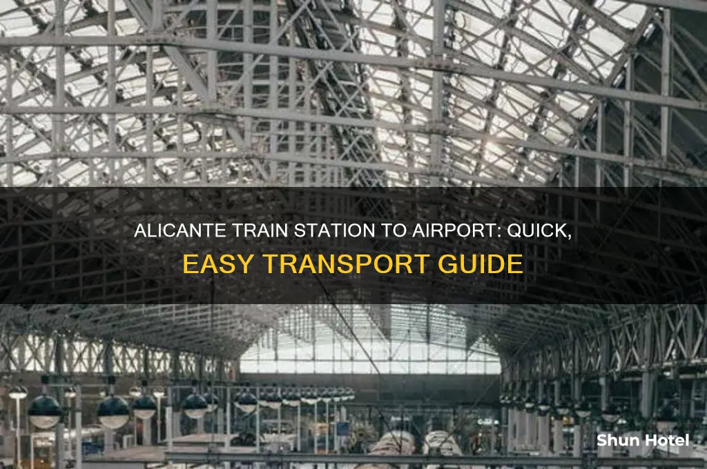 how to get from alicante train station to airport
