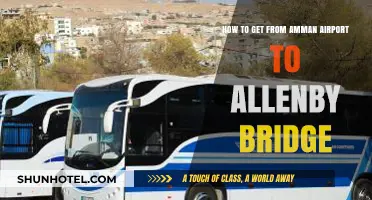 Amman Airport to Allenby Bridge: Easy Transport Options & Tips