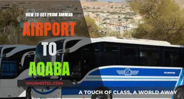Travel Guide: Amman Airport to Aqaba – Easy Transport Options