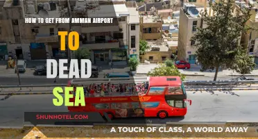 Travel Guide: Amman Airport to Dead Sea Transportation Options