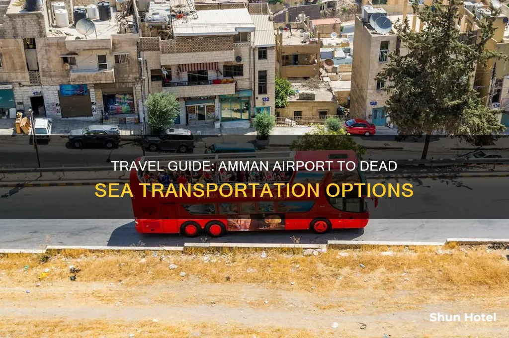 how to get from amman airport to dead sea