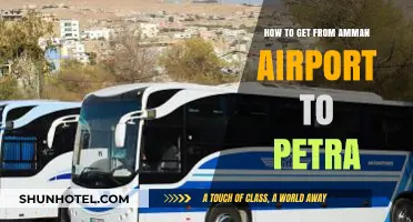 Traveling from Amman Airport to Petra: Easy Transport Options & Tips