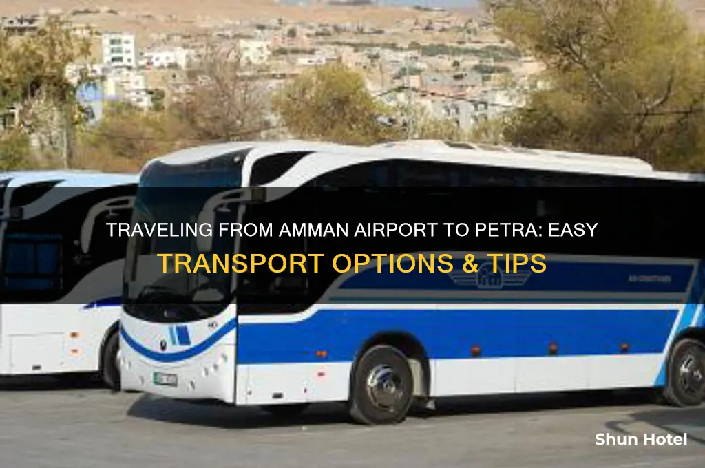 how to get from amman airport to petra