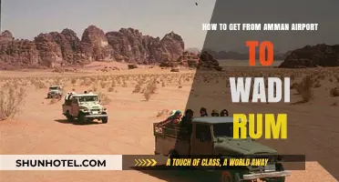 Amman Airport to Wadi Rum: Easy Transport Options & Travel Tips
