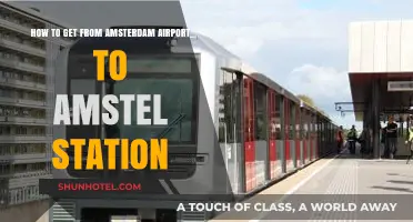 Amsterdam Airport to Amstel Station: Quick & Easy Travel Guide