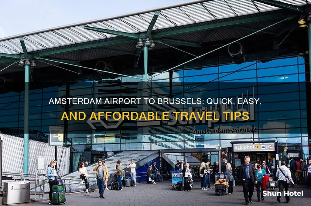 how to get from amsterdam airport to brussels
