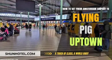 Easy Travel Guide: Amsterdam Airport to Flying Pig Uptown