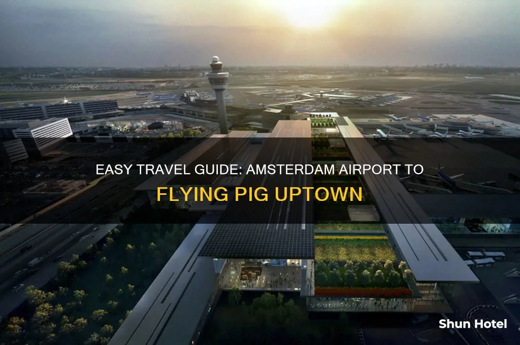 how to get from amsterdam airport to flying pig uptown