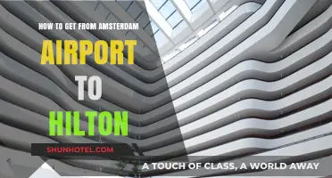 Amsterdam Airport to Hilton: Quick & Easy Travel Guide
