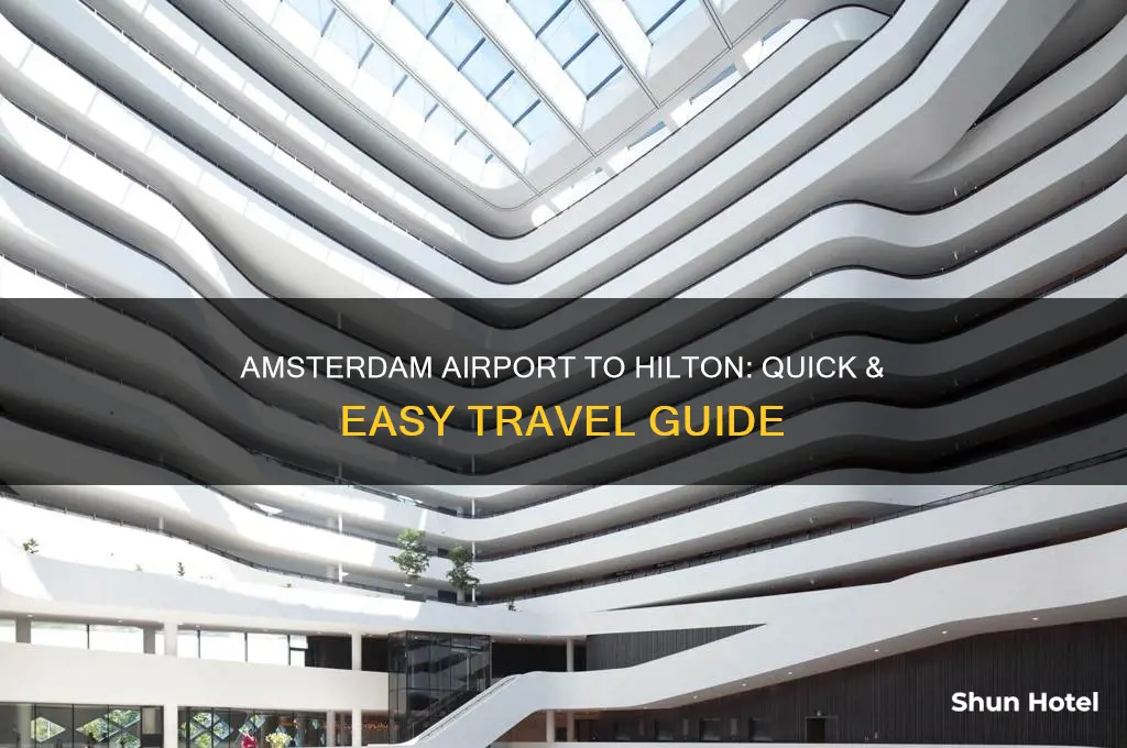how to get from amsterdam airport to hilton