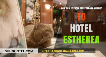 Amsterdam Airport to Hotel Estherea: Quick & Easy Travel Guide