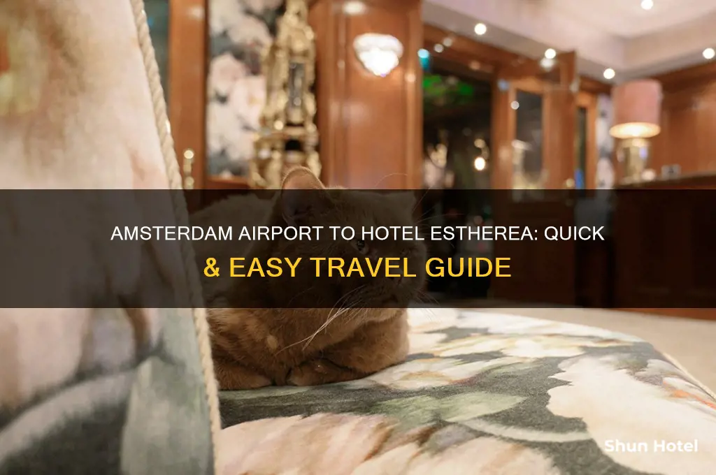how to get from amsterdam airport to hotel estherea