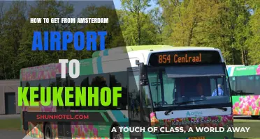 Amsterdam Airport to Keukenhof: Easy Travel Tips and Routes