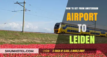 Amsterdam Airport to Leiden: Easy Transport Options and Travel Tips