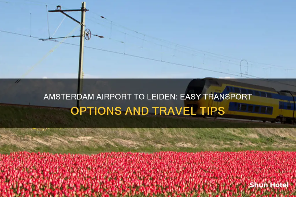 how to get from amsterdam airport to leiden