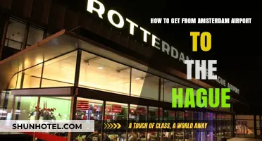 Amsterdam Airport to The Hague: Quick, Easy Travel Guide