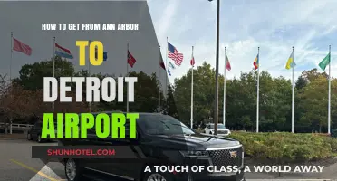 Ann Arbor to Detroit Airport: Quick, Easy Travel Tips