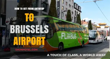 Traveling from Antwerp to Brussels Airport: Easy Transport Options