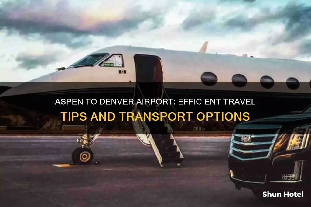 how to get from aspen to denver airport