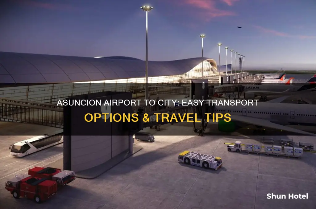 how to get from asuncion airport to city