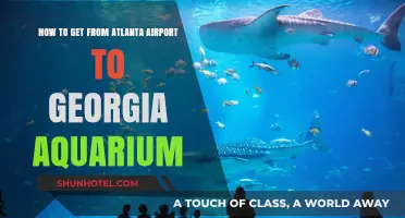 Easy Travel Tips: Atlanta Airport to Georgia Aquarium Guide