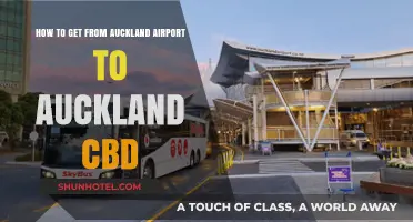 Auckland Airport to CBD: Quick, Easy Transport Options Guide