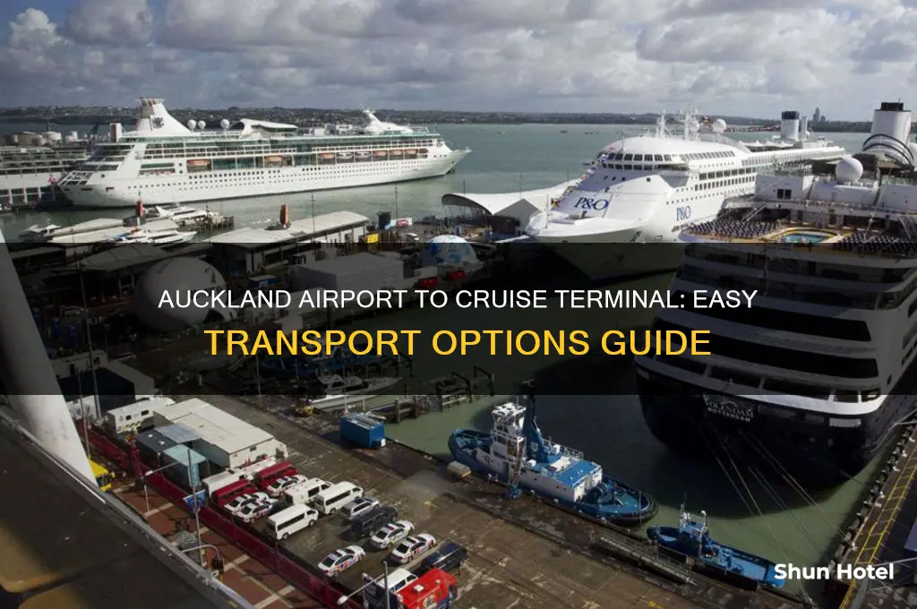 how to get from auckland airport to cruise ship terminal