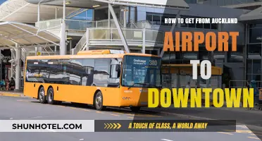 Auckland Airport to Downtown: Quick, Easy Transport Options Guide