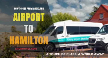 Auckland Airport to Hamilton: Easy Transport Options and Travel Tips