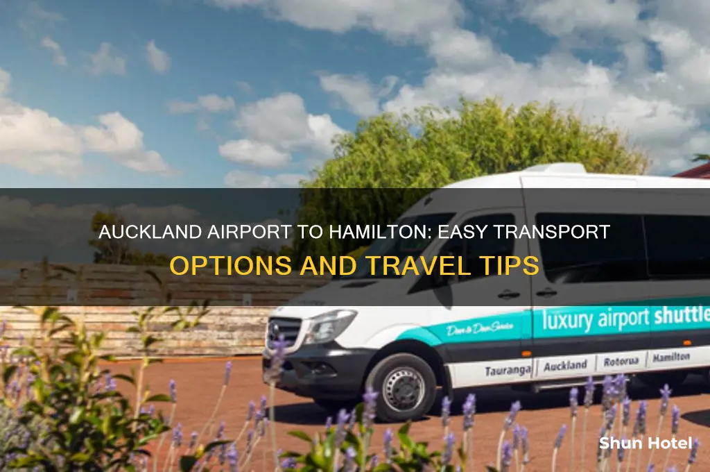 how to get from auckland airport to hamilton