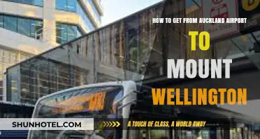 Auckland Airport to Mount Wellington: Easy Transport Options & Tips