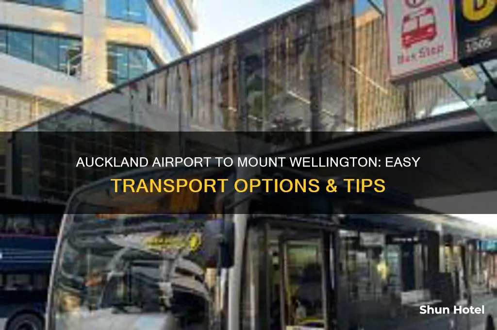how to get from auckland airport to mount wellington