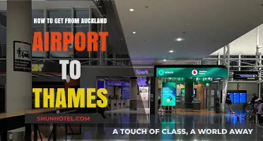 Travel Guide: Auckland Airport to Thames Transport Options Simplified