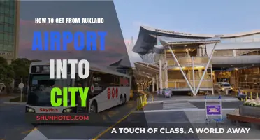 Auckland Airport to City: Quick, Easy Transport Options Guide